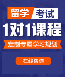 欧美老年女人操逼的视频留学考试一对一精品课